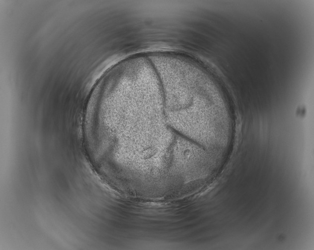 X0000114141409200911051411