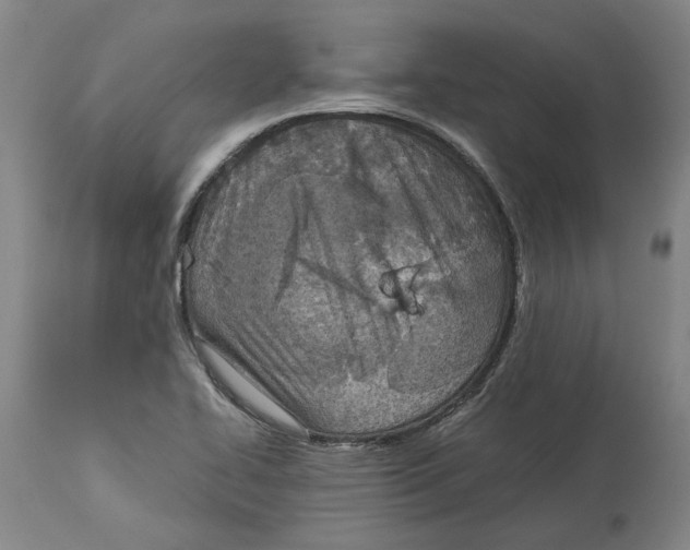 X0000114141414200911051411