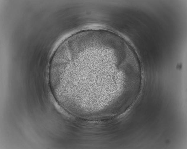 X0000114141421200911051411