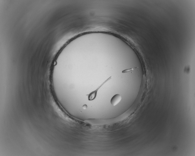 X0000114141422200911051411