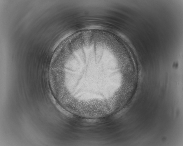 X0000114141425200911051411