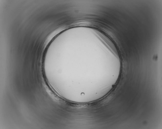 X0000114141426200911051411