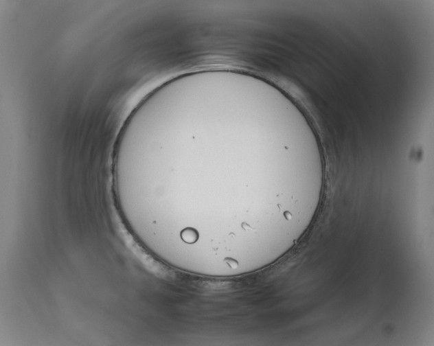 X0000114141431200911051411