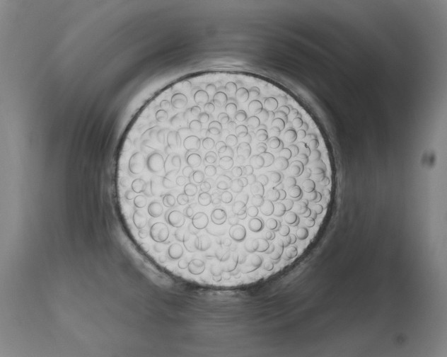 X0000114141432200911051411