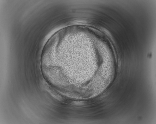 X0000114141435200911051411