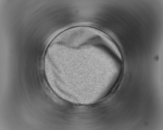 X0000114141436200911051411