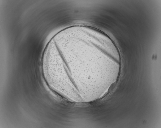 X0000114141440200911051411