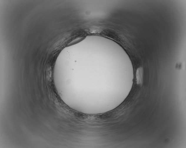 X0000114141443200911051410