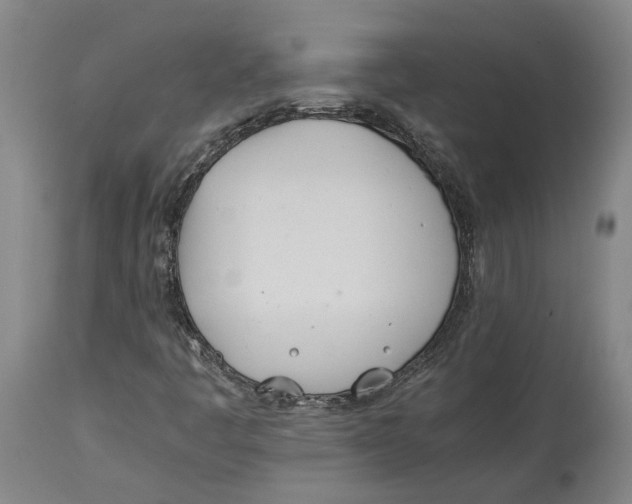 X0000114141445200911051410