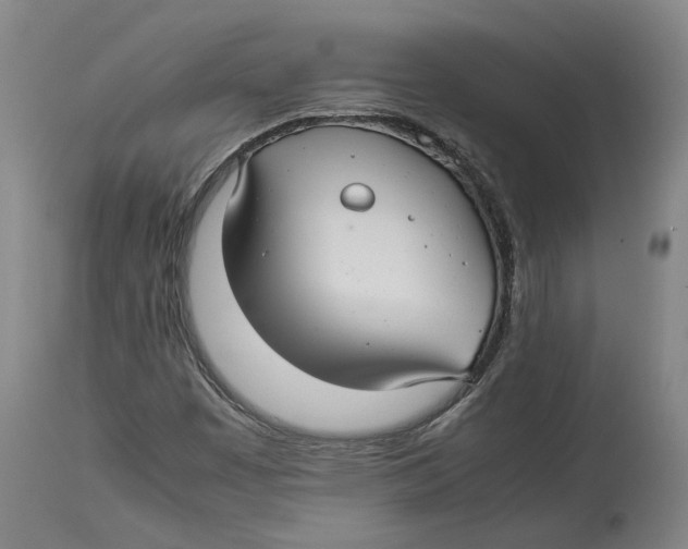 X0000114141449200911051410