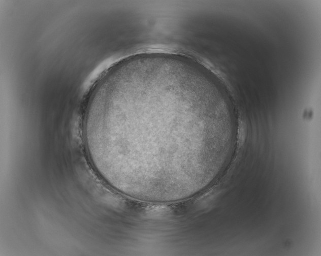 X0000114141454200911051410