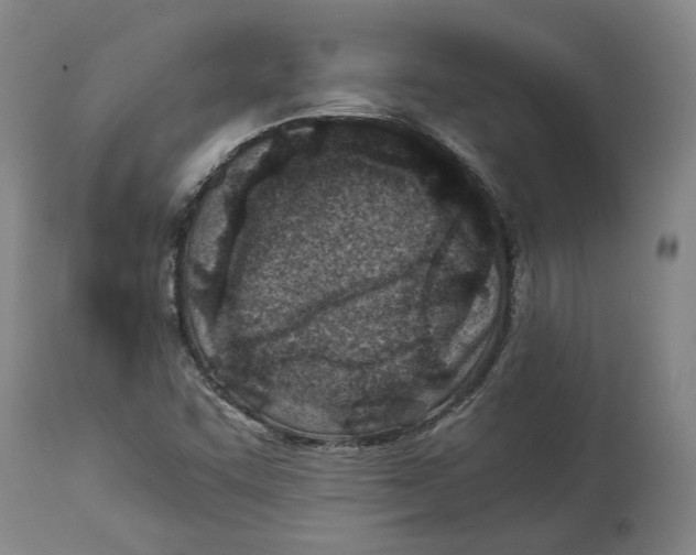 X0000114141455200911051410