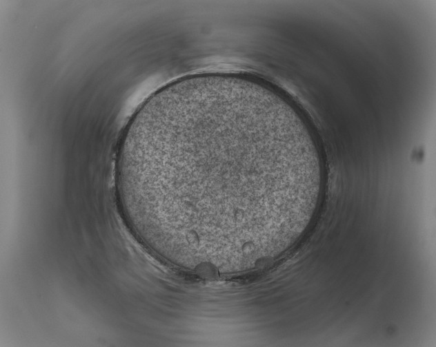 X0000114141459200911051410