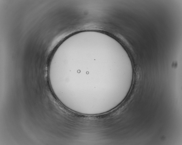 X0000114141461200911051410