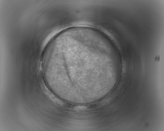 X0000114141462200911051410