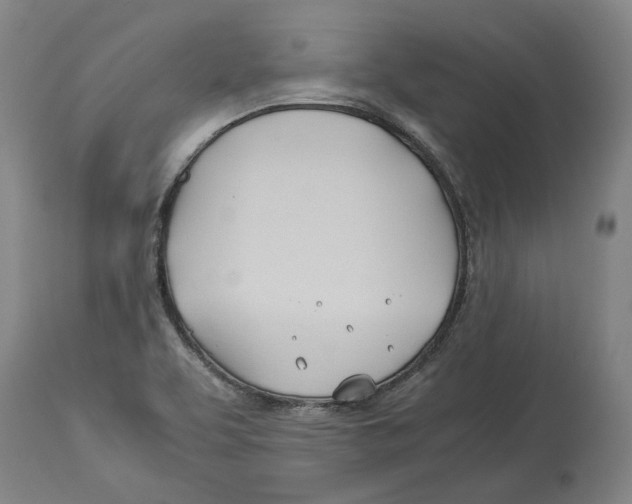 X0000114141463200911051410