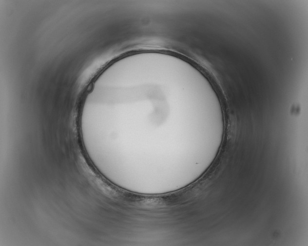 X0000114141464200911051410