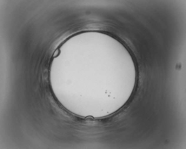 X0000114141465200911051410