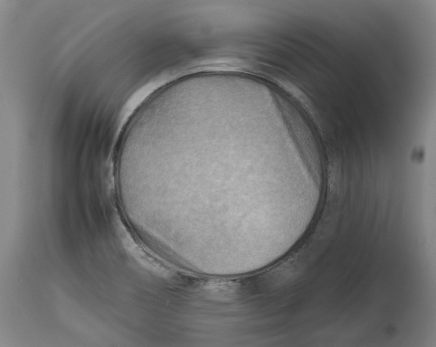 X0000114141466200911051410