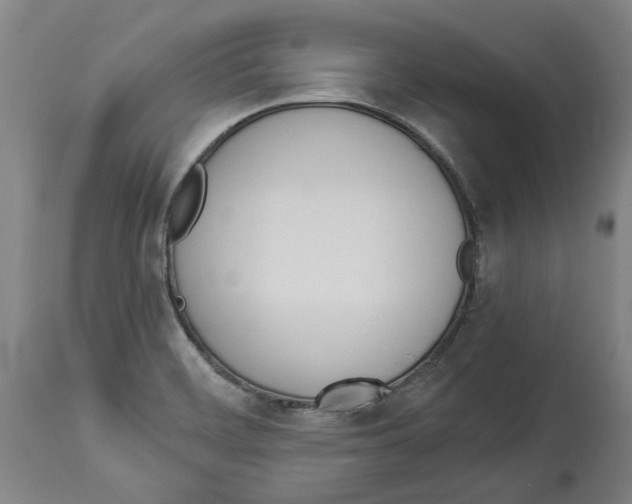 X0000114141468200911051410