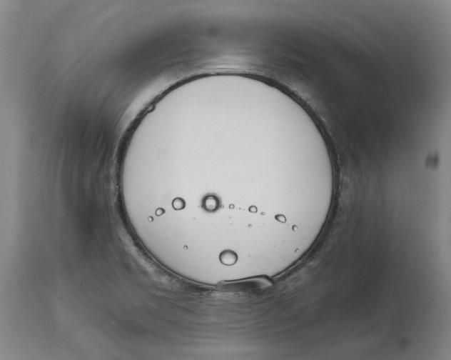 X0000114141469200911051410