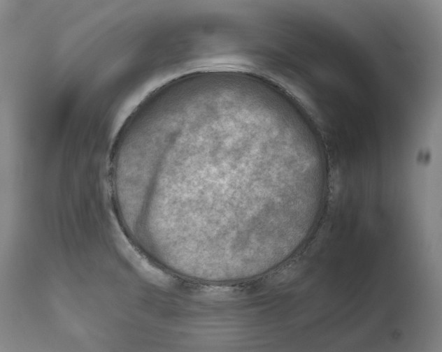 X0000114141470200911051410