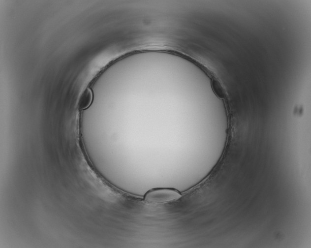 X0000114141472200911051410