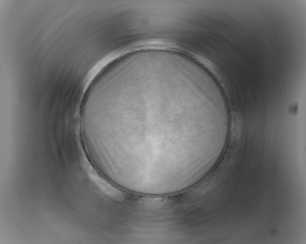 X0000114141474200911051410