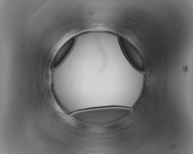 X0000114141476200911051410