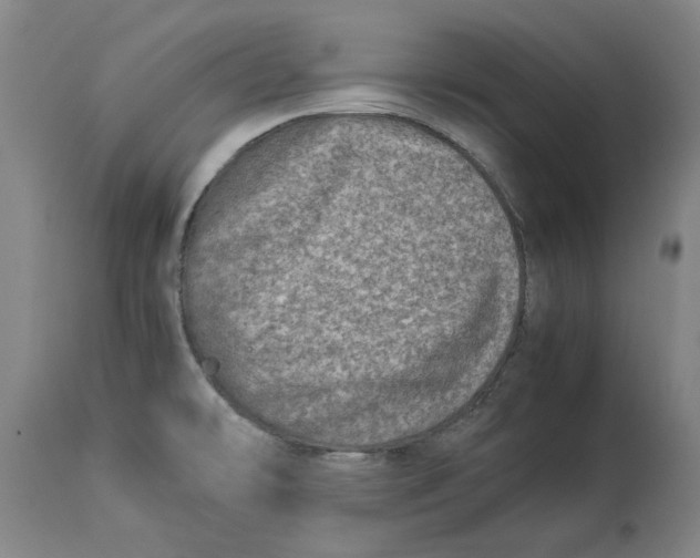 X0000114141478200911051410