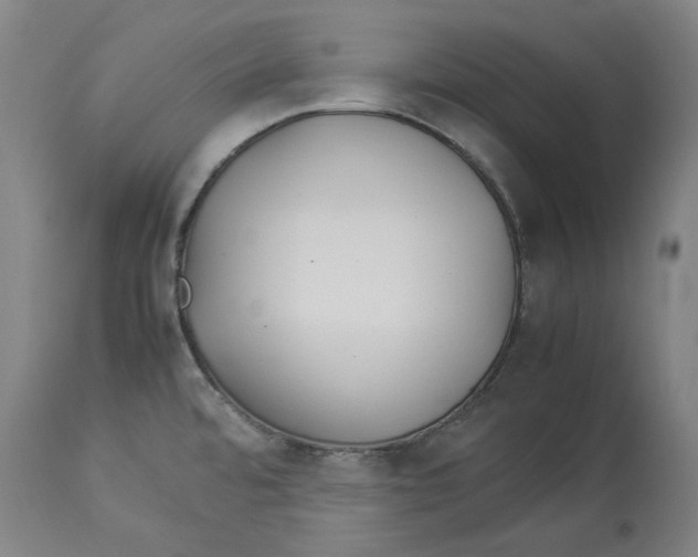 X0000114141480200911051410