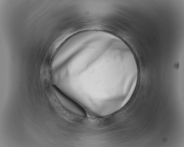 X0000114141481200911051410