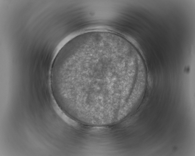 X0000114141482200911051410