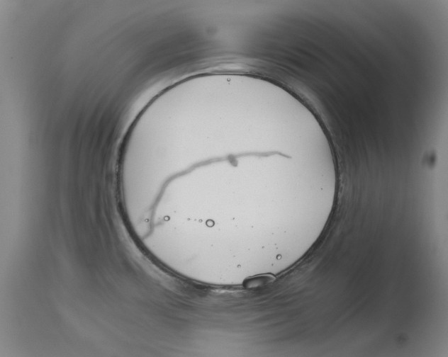 X0000114141483200911051410