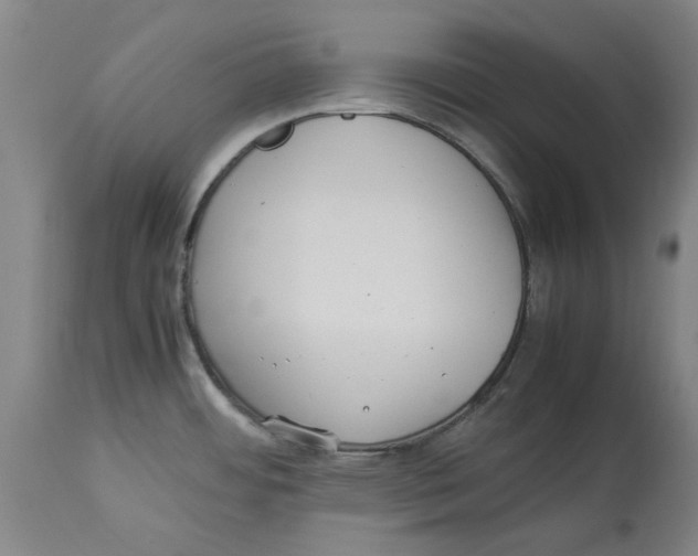 X0000114141484200911051410