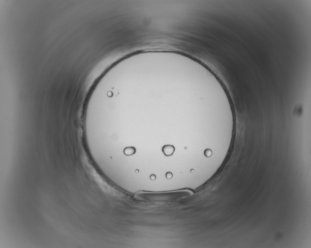 X0000114141485200911051410