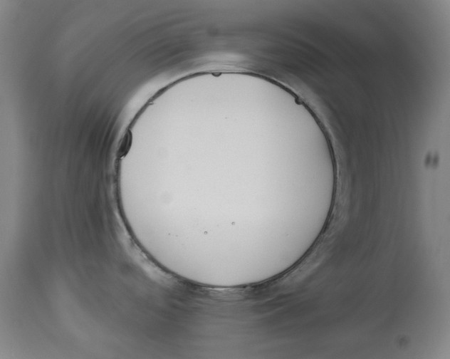 X0000114141488200911051410