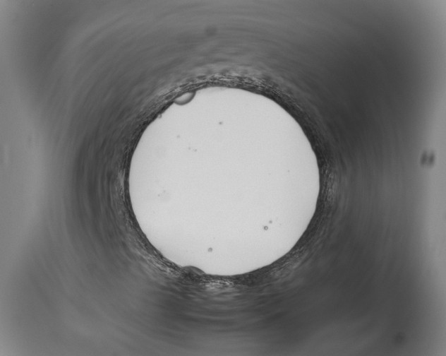 X0000114141489200911051409