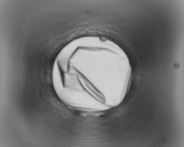 X0000114141490200911051409