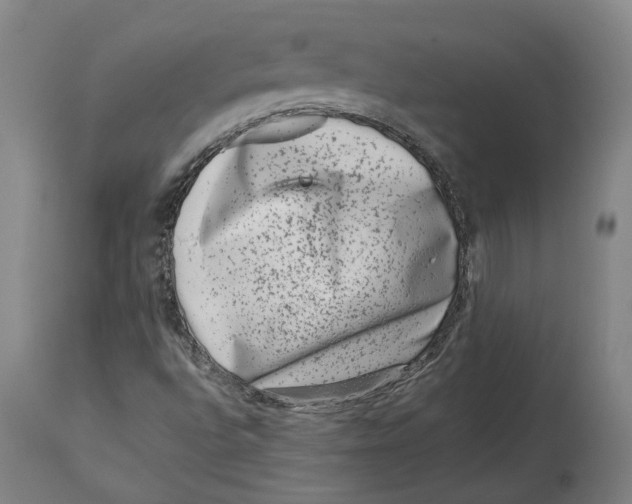 X0000114141496200911051409