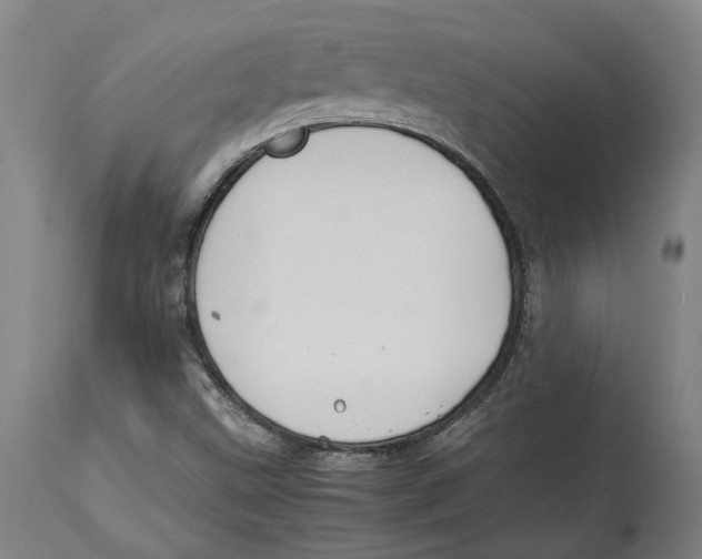 X0000114141499200911051409