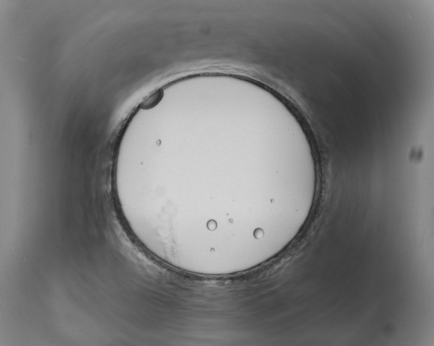 X0000114141504200911051409