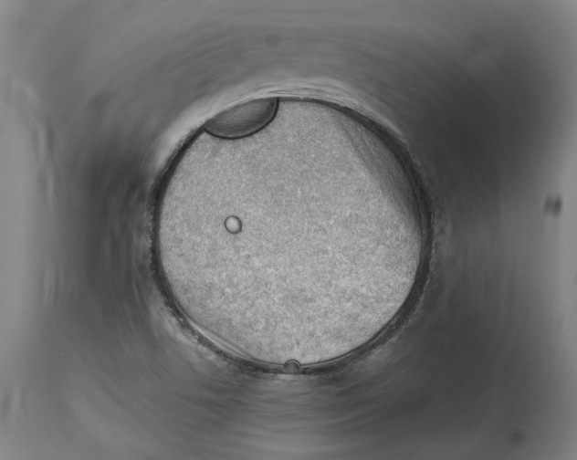 X0000114141506200911051409