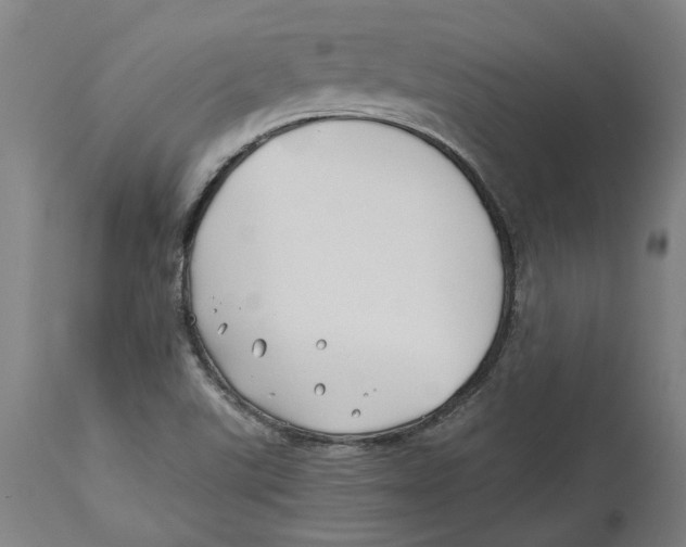 X0000114141507200911051409