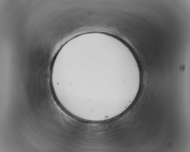 X0000114141508200911051409