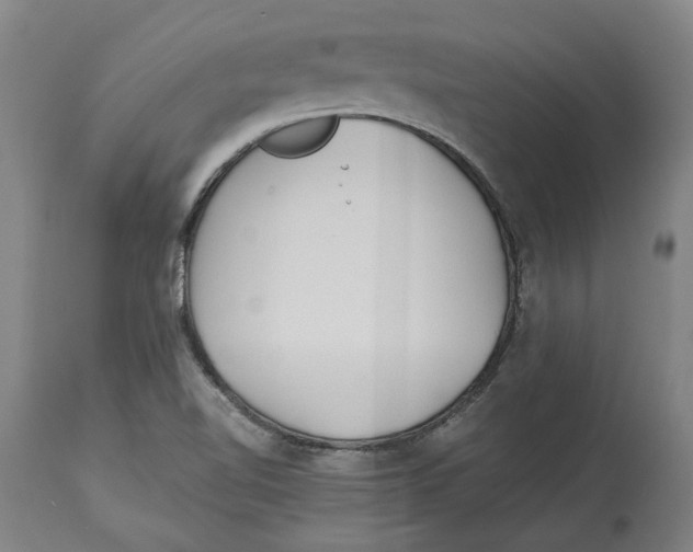 X0000114141510200911051409