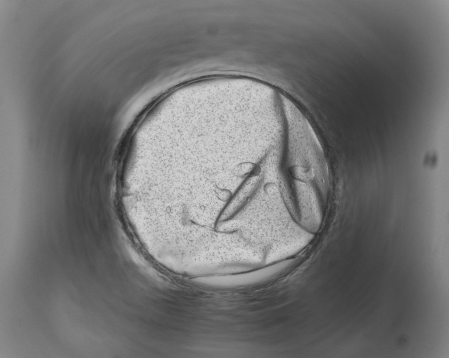 X0000114141511200911051409