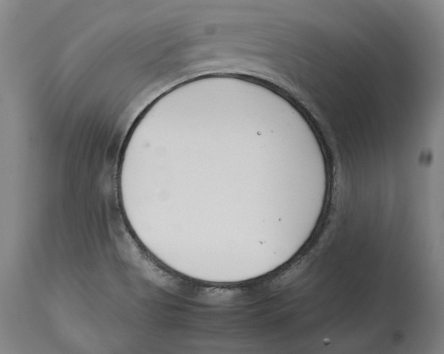 X0000114141513200911051409