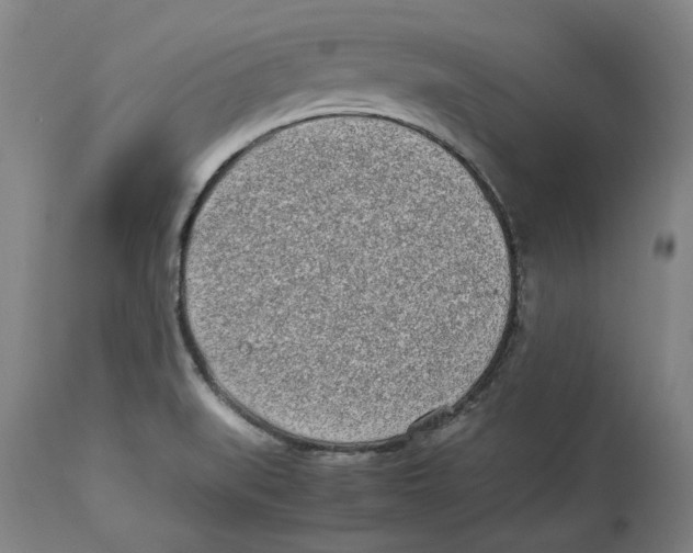 X0000114141519200911051409