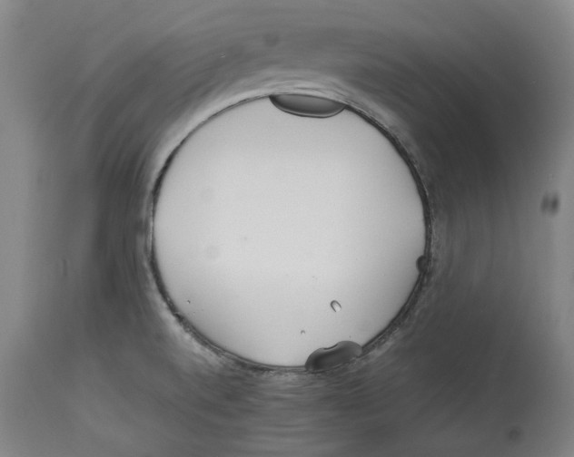 X0000114141520200911051409